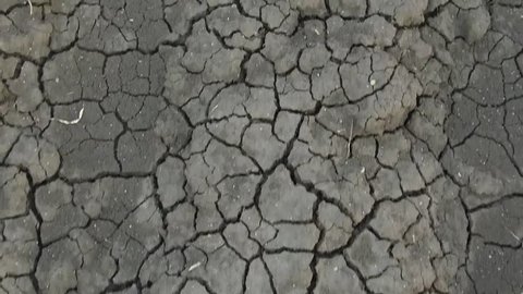 Soil texture closeup in rural village Salunkwadi, Ambajogai, Beed, Maharashtra, India, Southeast Asia