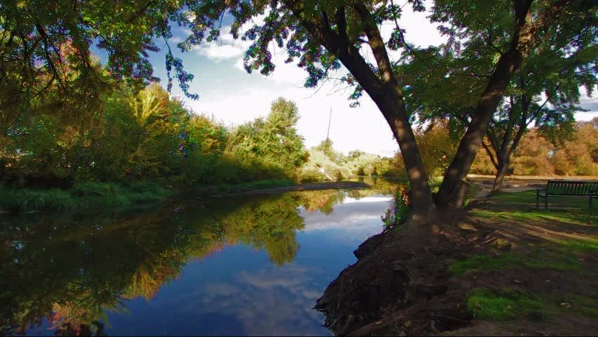 The Boise River Autumn colors and tree swing