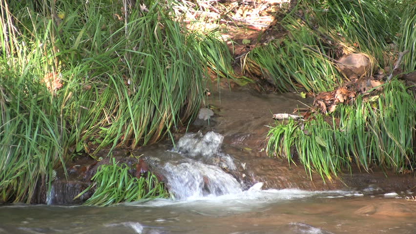 Babbling Brook