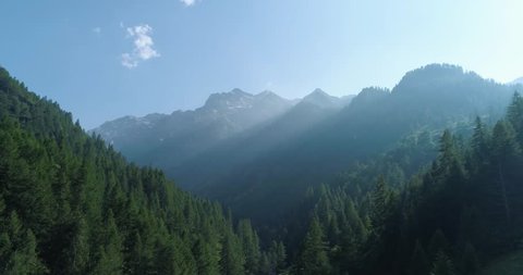 moving forward to  pine woods forest and mountain valley with sun flare in summer day.Europe Italy Alps outdoor green nature scape mountains wild aerial establisher.4k drone flight establishing shot