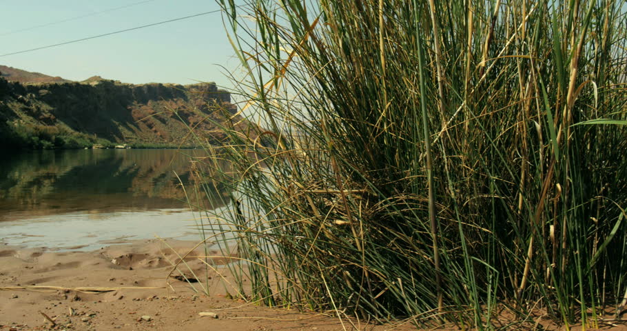 beach and boat launching point at Lee