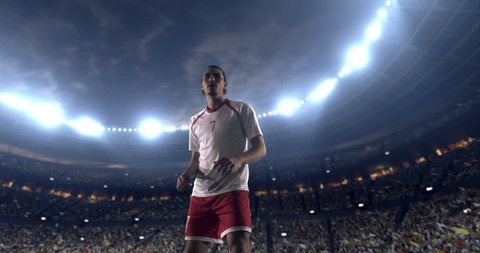 Footage of a soccer player in dramatic play during a soccer game on a professional outdoor soccer stadium. Player wears unbranded uniform. Stadium and crowd are made in 3D.
