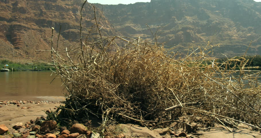 beach and boat launching point at Lee