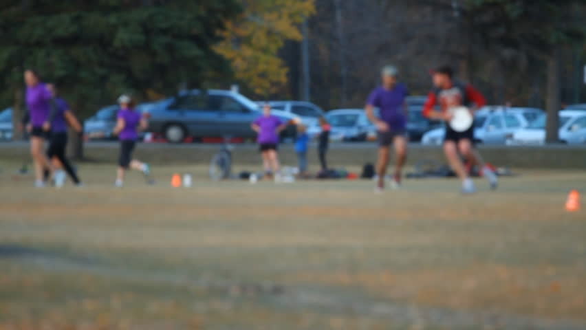 Assortment of People in the Park playing frisbee. Blur slow motion