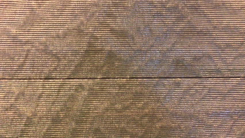 Curtain of waterfall on grainte wall.
