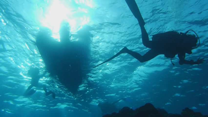 scuba divers under zodiac, back light, sun light