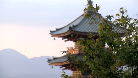 KYOTO, JAPAN - CIRCA 2012: Slide from the tree with focus at the pagoda of the Kiyomizu temple స్టాక్ వీడియో