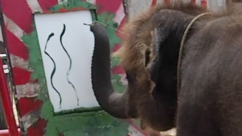 Young Artist Elephant Painting Flower