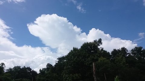 time lapse of sky and tree nature
