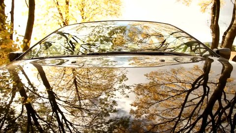 Pov on-board-camera on a hood of a car driving through a forest. 