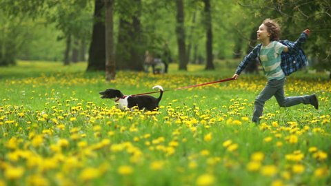 Brother and sister with dog run together, cheerful, happy children, bright colors.