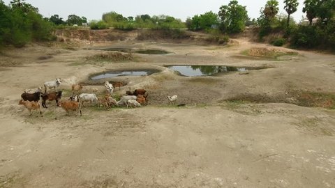 Water shortage in rural areas of Asia.(Drone Shot)
