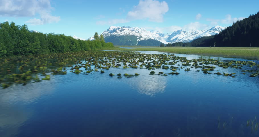 Aerial: flying over bird wetlands, lake, tree island and mountains near Chugach Forest, Anchorage, Alaska