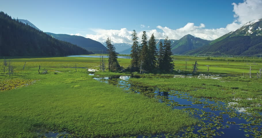 Aerial: flying over bird wetlands, lake, tree island and mountains near Chugach Forest, Anchorage, Alaska
