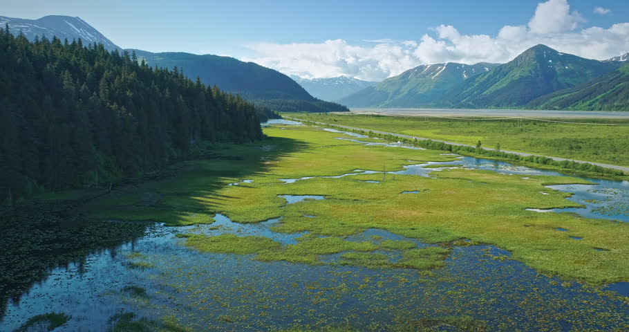 Aerial: flying over bird wetlands, lake, tree island and mountains near Chugach Forest, Anchorage, Alaska