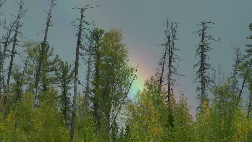 Autumn. time lapse.  rainbow  