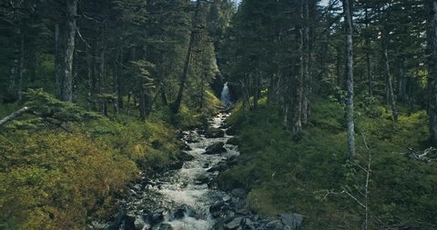 Aerial : flying slowmotion over a river upto a waterfall in a forest, Whittier, Alaska