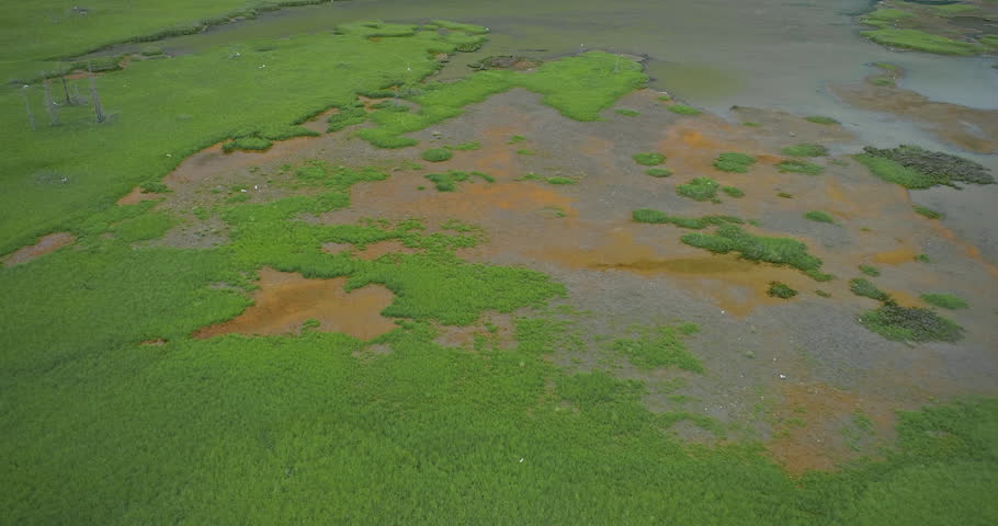 Aerial: flying over bird wetlands, dead trees and mountains near Alyeska & Anchorage, Alaska