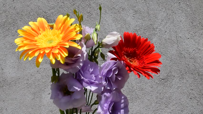Summer flowers in the wind | Shutterstock HD Video #28976428