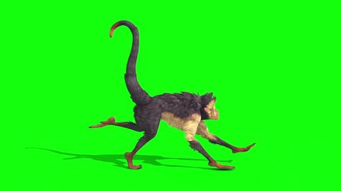Monkey Runcycle Side Green Screen 3D Rendering Animation