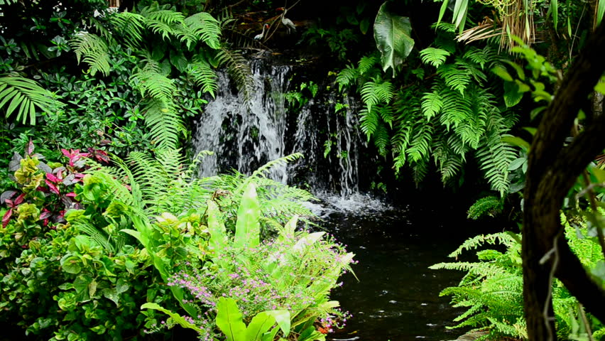 small waterfall at home garden