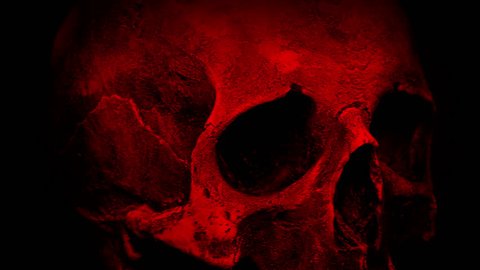 Red Ancient Human Skull Rotating Closeup Loop