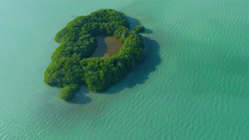 Island landscape at Biscayne National Park, Florida image - Free stock ...