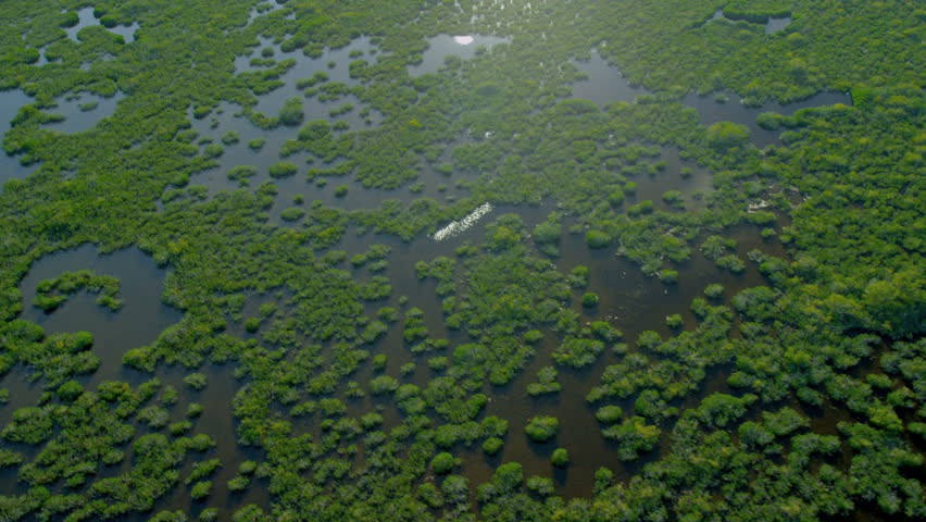 Aerial view rich fertile sub tropical Wetlands Florida Everglades National Park nr Miami USA RED EPIC