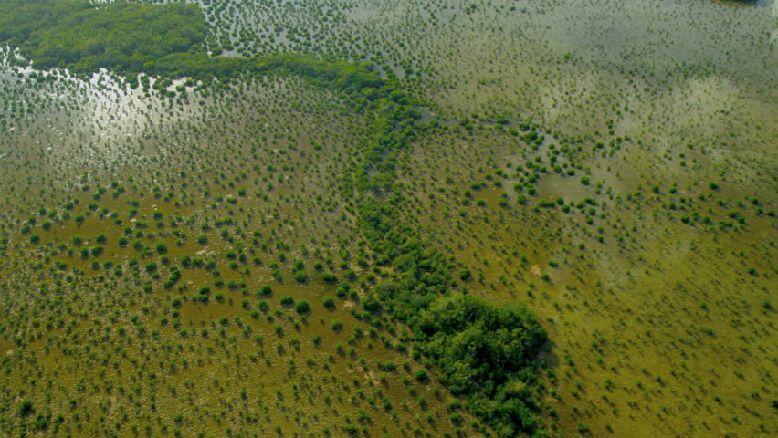 Aerial view Florida Everglades National Park marshland and swamps Sub tropical climate nr Miami USA RED EPIC