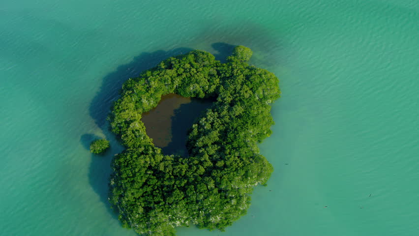 Aerial view of small Island in aqua coloured sea in shallow lagoon waters Biscayne Bay Florida USA RED EPIC
