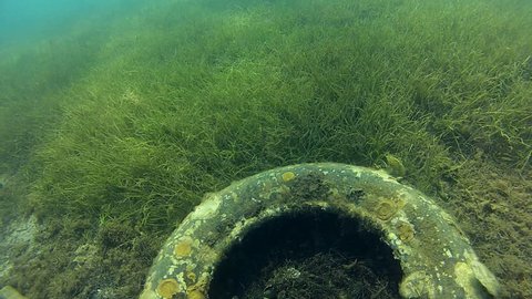 Old tire on seabed

Description: Old tire and seaweed on seabed

 Stock Video