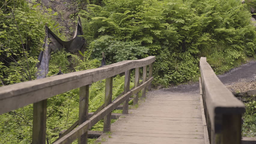 Playful Hikers Race Each Other Other Across Bridge In A Temperate Rainforest In Oregon