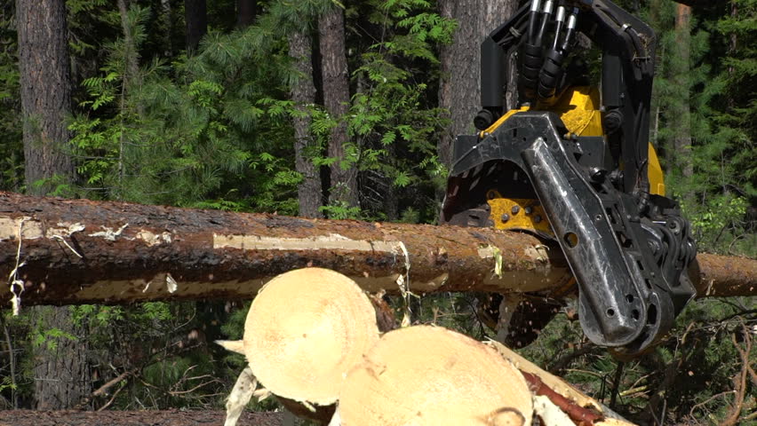 Mechanical maschine's arm cuts a freshly chopped tree trunk in a forest | Shutterstock HD Video #29027563