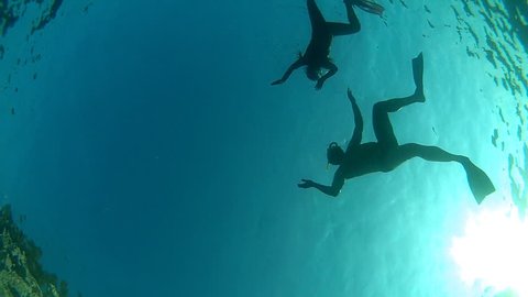 father and daughter diving

 Stock Video