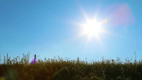Young healthy woman on summer vacations in countryside. Silhouettes of person hiking slowly alone isolated at blue sky background, grassy hill, bright sunset sunlight. Real time full hd video footage.
