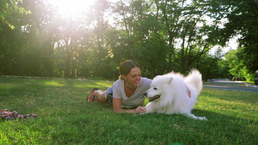 An adult woman with red hair plays and strokes her dog of the Samoyed breed. White fluffy pet in a park with mistress on a green lawn have fun. SLOW MOTION