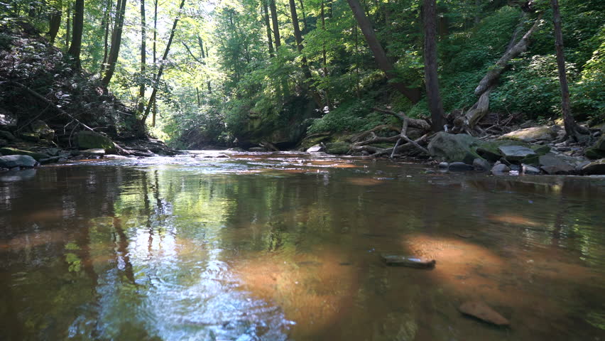 Motion hiking down wooded stream in Cuyahoga Valley