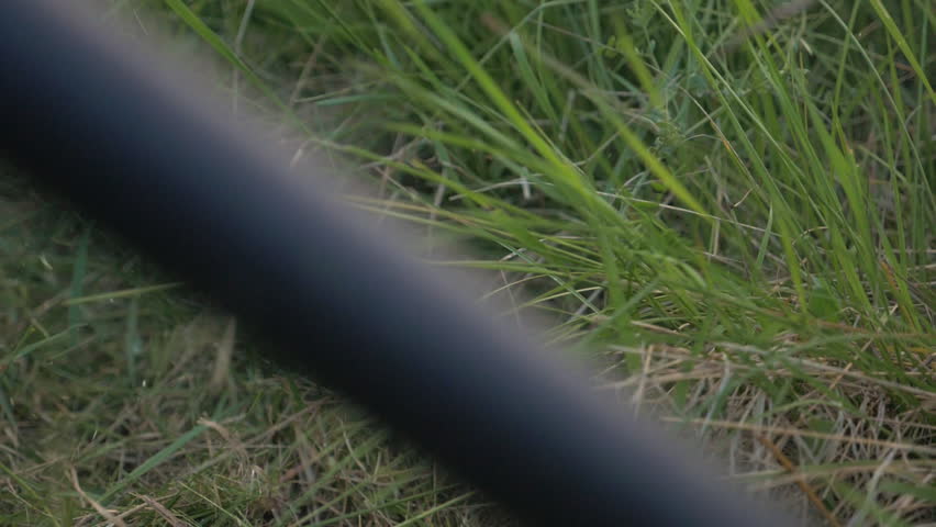 Electric trimmer blade rotary cuts grass and branches on the site.