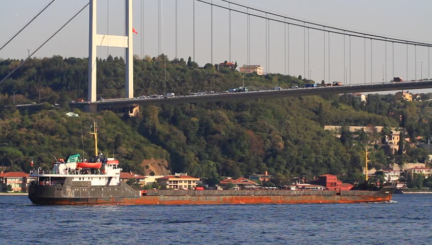Dry cargo ship sailing under the cable bridge
