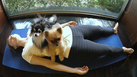 Funny Fitness With Pets. Woman Lying In Yoga Pose With Pomeranian Dogs. HD, 1920x1080. 