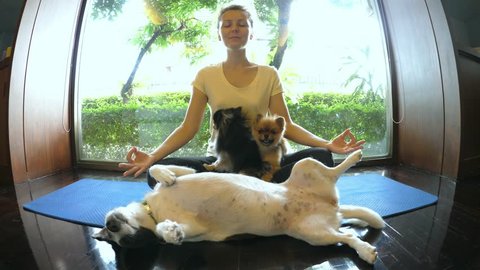 Young Woman Doing Meditation at Home With Dogs Around Her. HD, 1920x1080. 