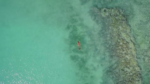 Aerial drone quadcopter footage of young woman snorkeling,exploring exotic marine life on tropical reef and swimming in blue lagoon island resort on holiday in crystal clear ocean.