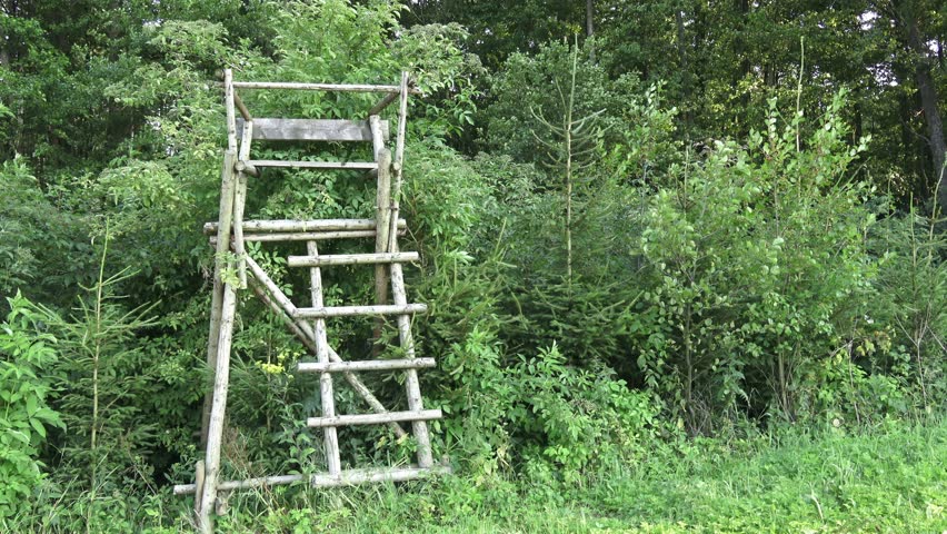 Wooden hunters high seat hunting tower