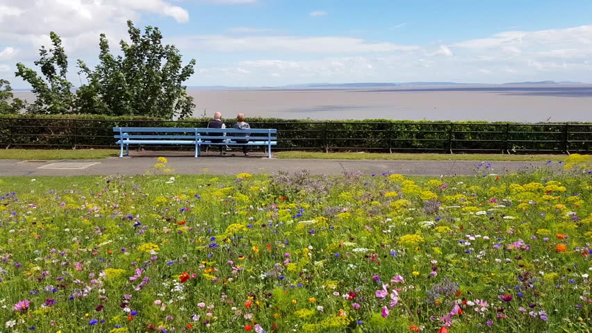 Rear view of a senior couple sitting on a bench on the Cliff Hill, Penarth, with beautiful wildflowers,  looking at the sea.