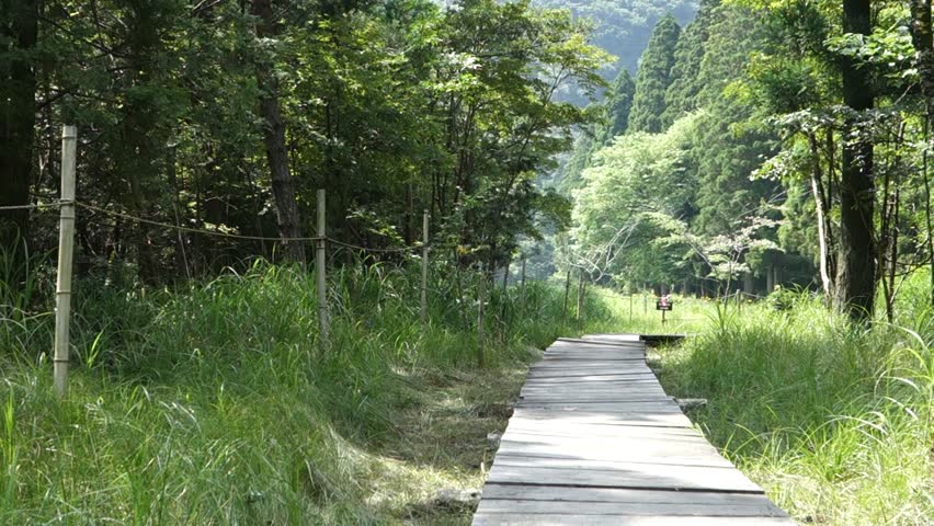 Promenade of Inoseto  marshland