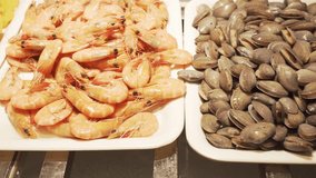 Trays with fresh sea delicacies and seafood stock footage video