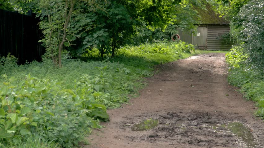 A muddy track leading to an old shed on in English woodland.