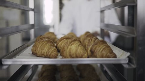 Croissants are in tray after leaving the oven for customers on breakfast in a commercial kitchen. 4K