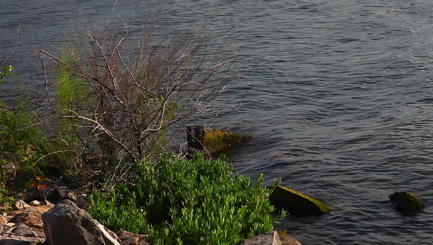 Bridgeport Lake in Texas