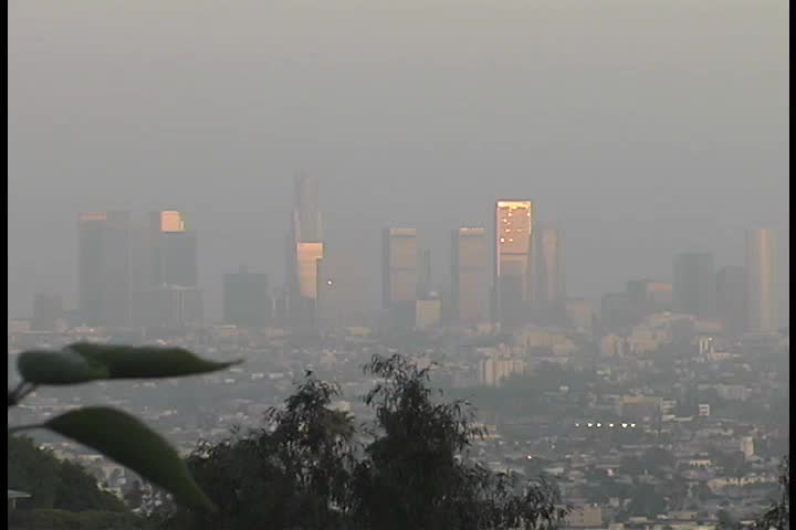 Downtown Hollywood
